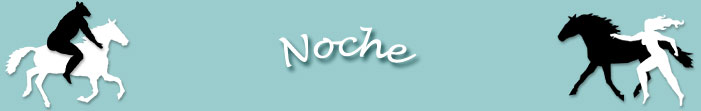 Noche Poem - HorseJourneys, Cindy Jarrett