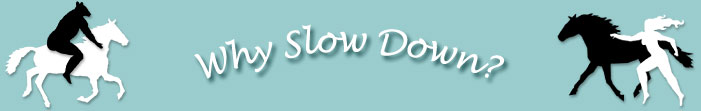 Why Slow Down?